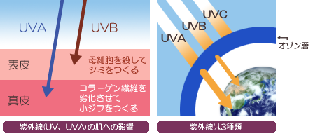紫外線って?