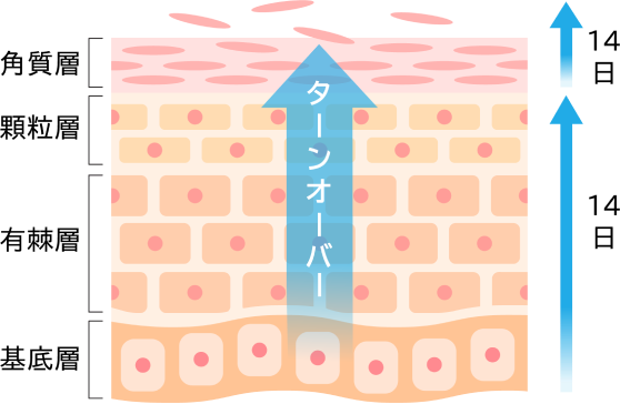 AQUATIST TW.O 自然体で使えるスキンケアシリーズ
